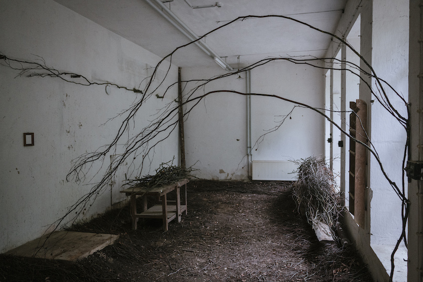 ©BenediktWalther-6762